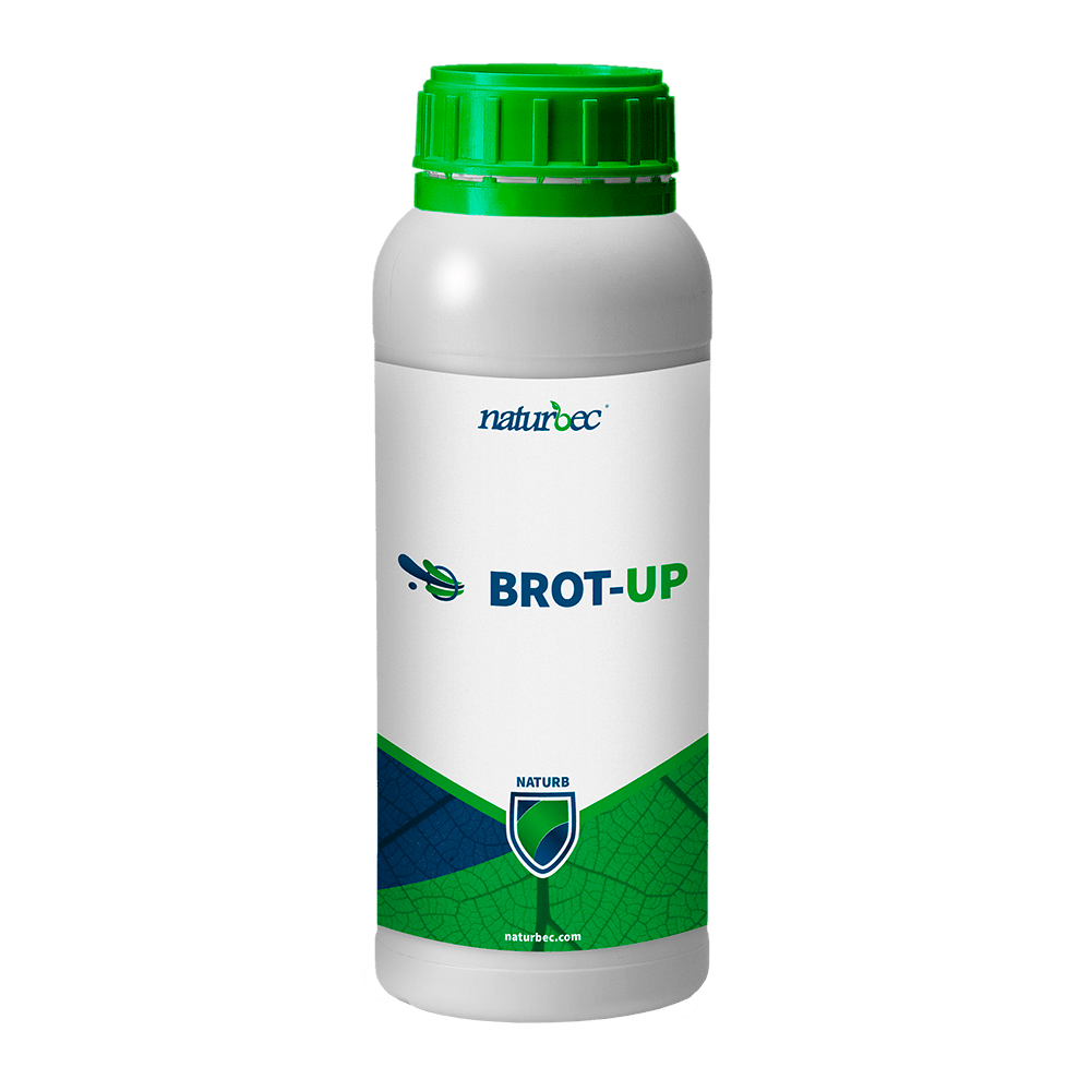 promotor floración Naturbec - Brot Up