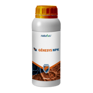 Genesys, bioestructurador del suelo con Staminatech de Naturbec