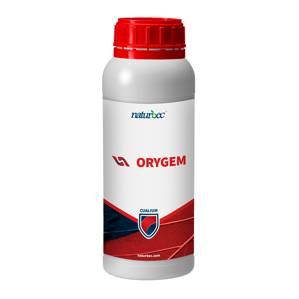 Corrector de potasio Naturbec - Orygem 1L