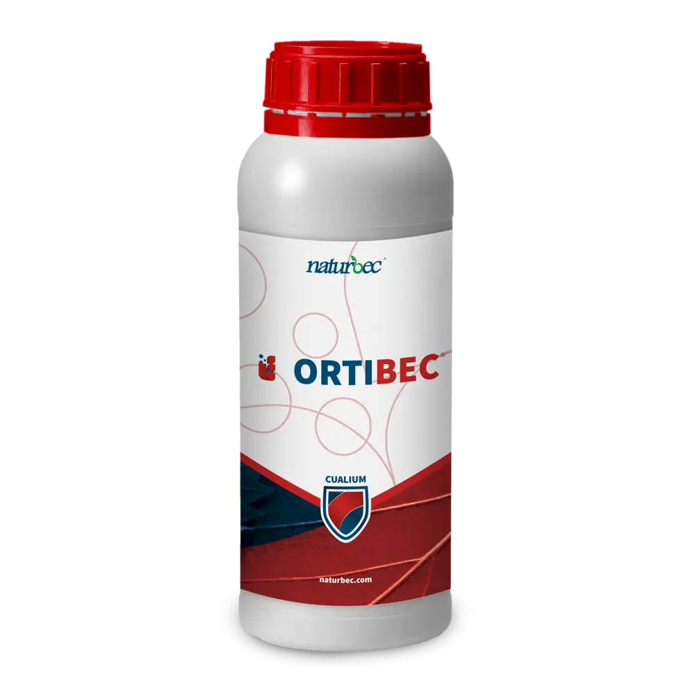 Botella de 1 litro del producto agrícola ORTIBEC de Naturbec, con envase blanco y tapón rojo. La etiqueta combina tonos rojos y azules con diseño técnico y moderno, e incluye el sello ‘CUALIUM’. Producto presentado sobre fondo transparente