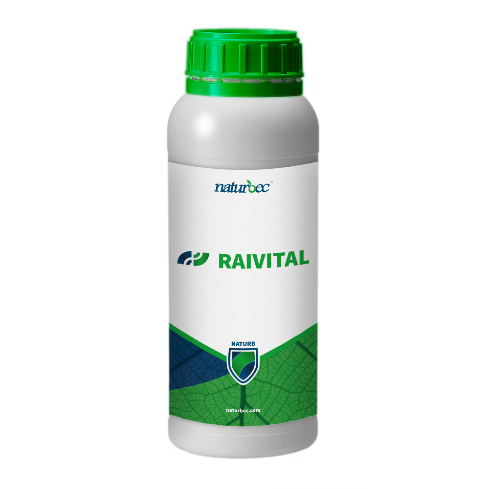 Estimulante radicular - Naturbec - Raivital - 1L
