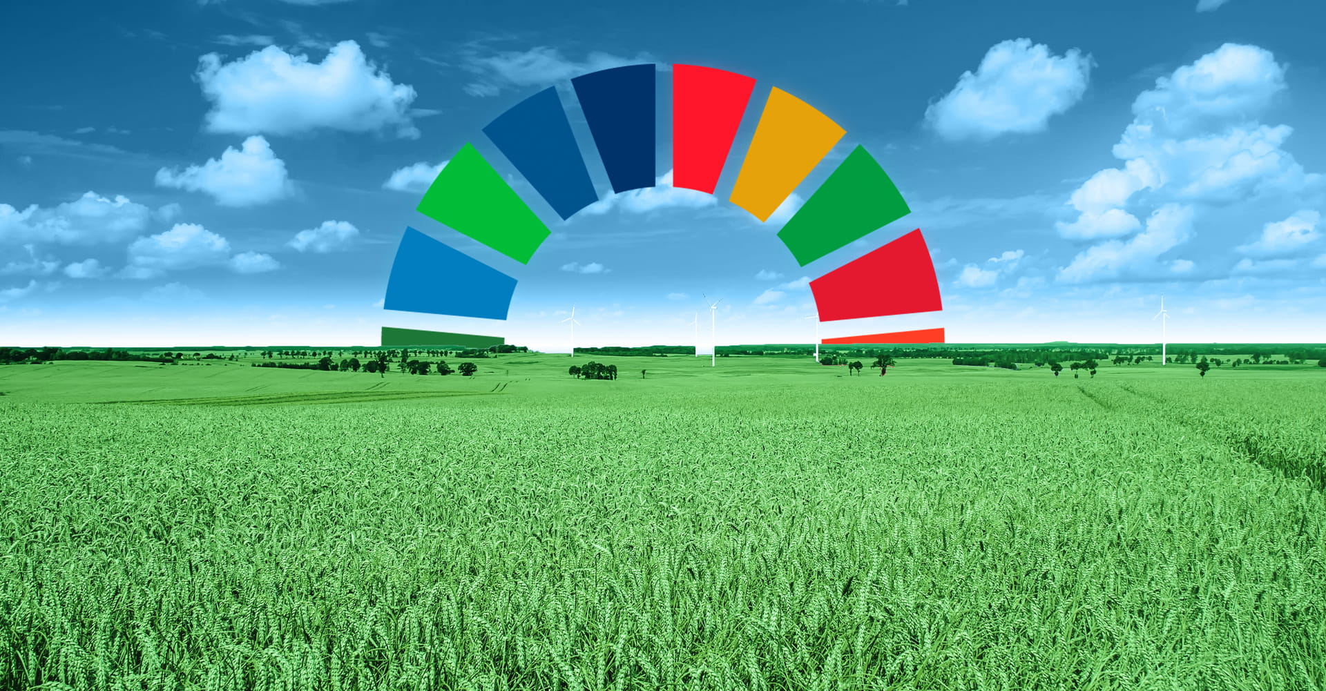 Imagen de cabecera de los compromisos de Naturbec con la sostenibilidad y el impacto positivo