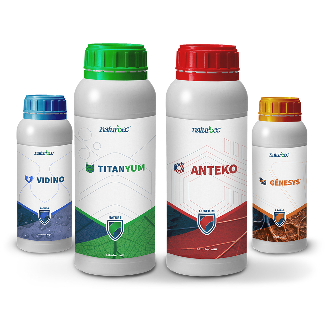 Home - Bodegón Naturbec Vidino Titanyum Anteko Genesys