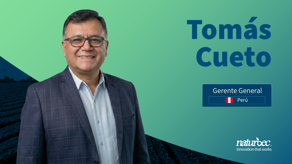 Retrato corporativo de Tomás Cueto, Gerente General de Naturbec en Perú, sonriendo y vestido con americana gris y camisa clara, sobre fondo degradado verde-azulado con paisaje agrícola oscuro en la parte inferior y el logotipo de Naturbec.